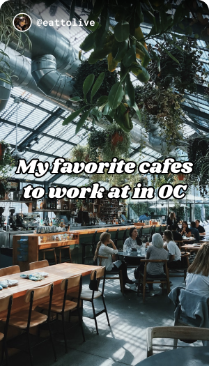 Tabi app interface showing organized place collections